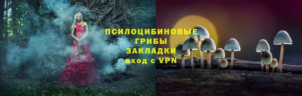 героин Богородицк